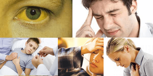 Lời khuyên bảo vệ sức khỏe gan