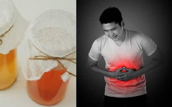 Konbucha - thành phần tự nhiên hỗ trợ tiêu hóa