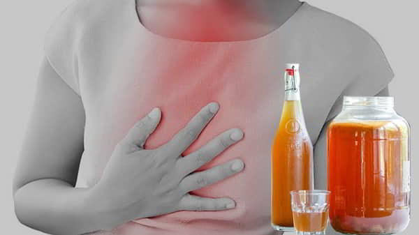 Rủi ro khi sử dụng konbucha và những điều cần biết