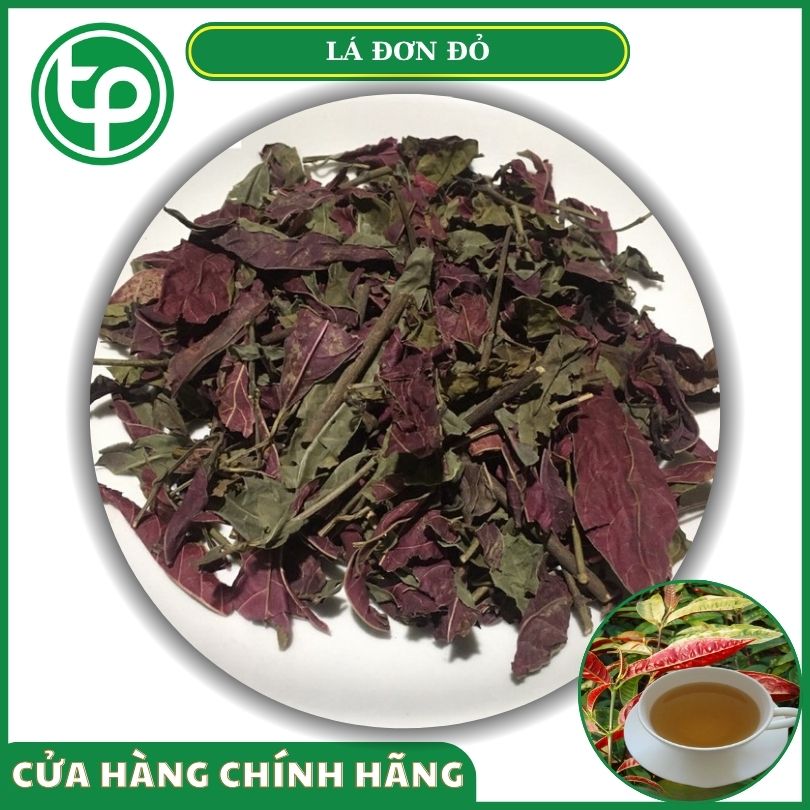 Lá đơn đỏ khô tại Tấn Phát