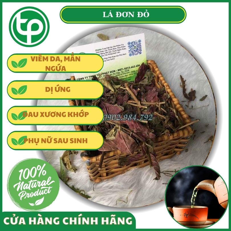 Công dụng của lá đơn đỏ đối với sức khỏe