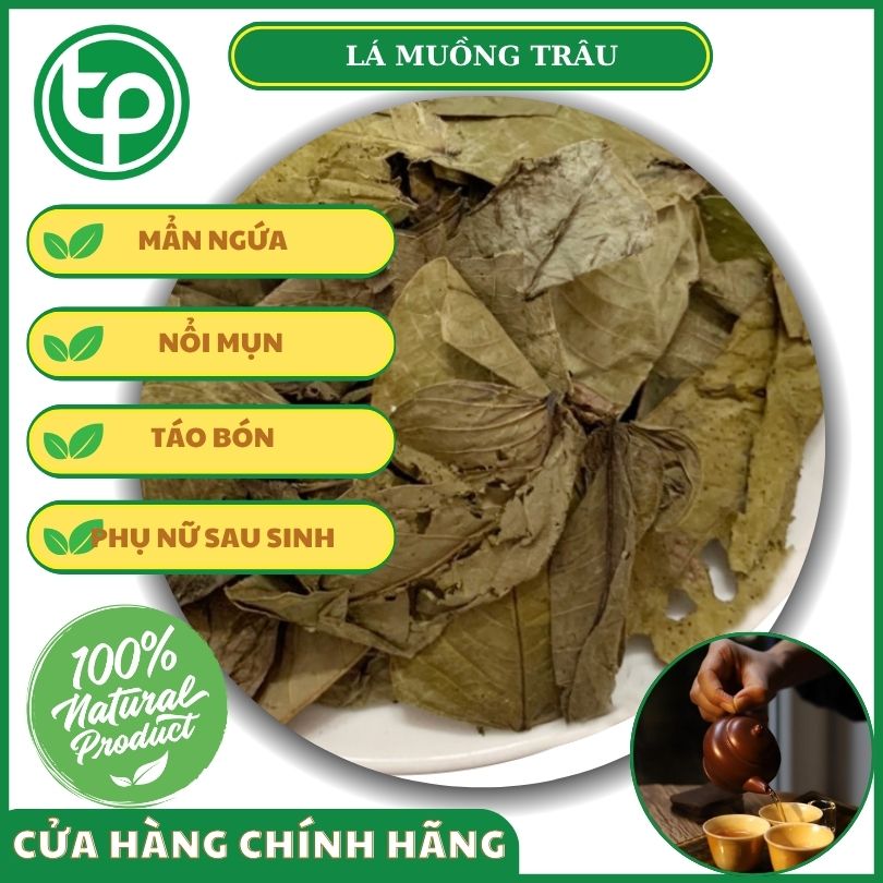 Công dụng của lá muồng trâu đối với sức khỏe