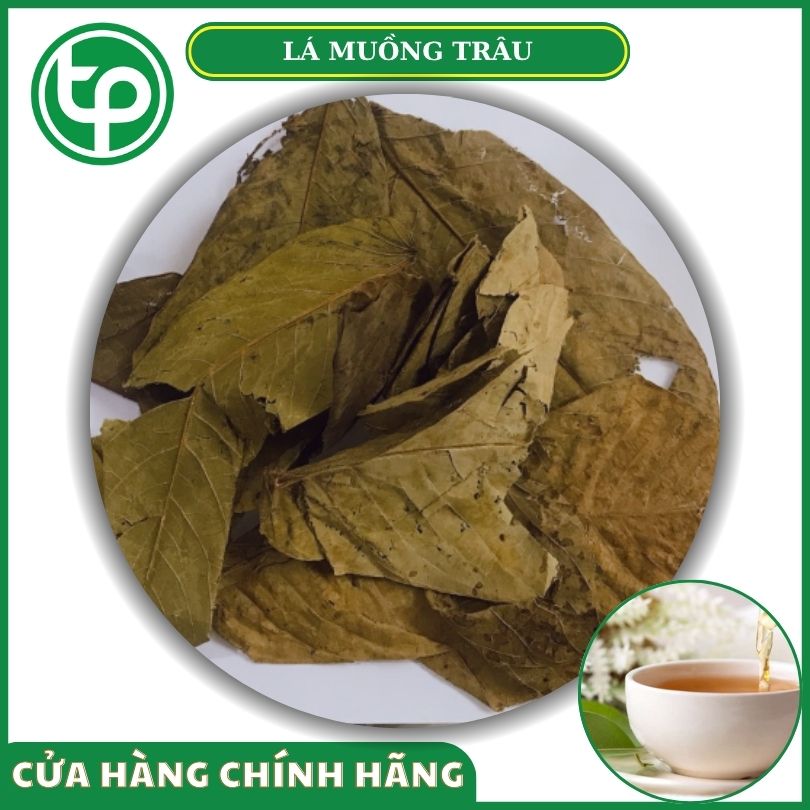 Lá muồng trâu tại Tấn Phát