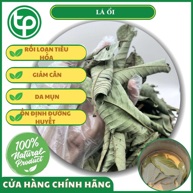 Đối tượng nào nên dùng lá ổi