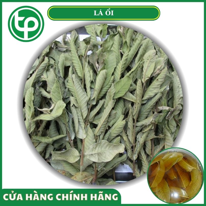 Lá ổi khô tại Tấn Phát