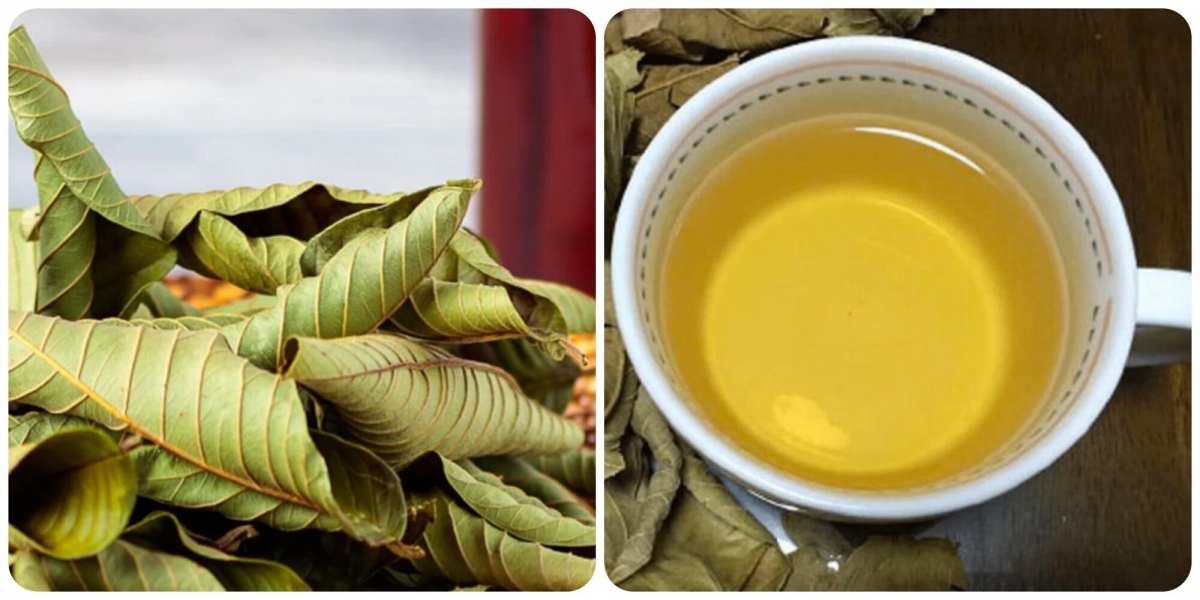 Lá ổi tươi hỗ trợ tiêu hóa tự nhiên