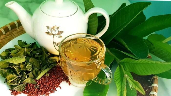 Cảnh báo khi sử dụng lá ổi chữa tiêu hóa