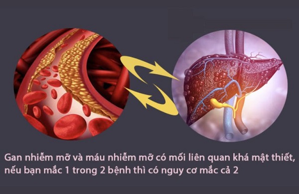 Chủ động kiểm soát mỡ máu khỏe mạnh