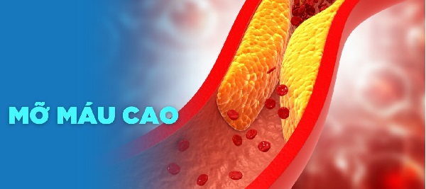 Mô tả ảnh: Các biểu hiện và nguy cơ của máu nhiễm mỡ