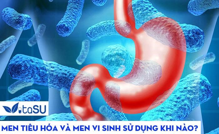 Chọn men vi sinh an toàn, đúng hướng dẫn và phối hợp lối sống lành mạnh