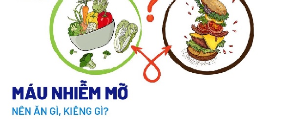 Mỡ máu nên kiêng ăn gì
