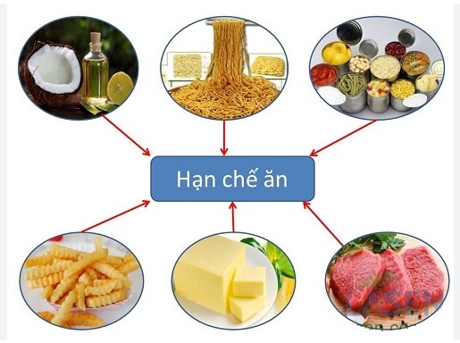 Đạm động vật và mỡ máu