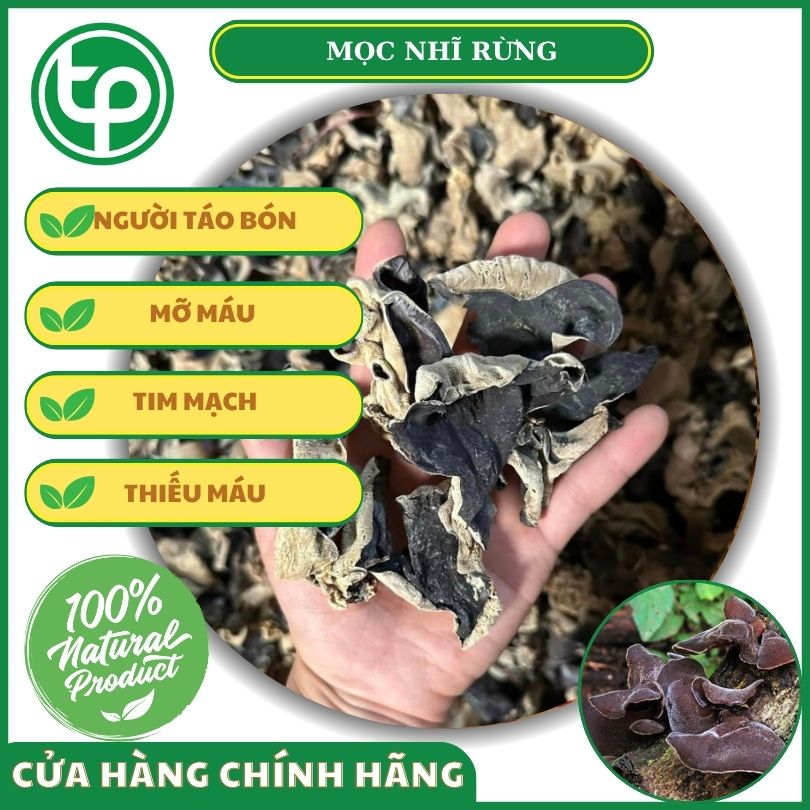 Đối tượng nào nên dùng mọc nhĩ