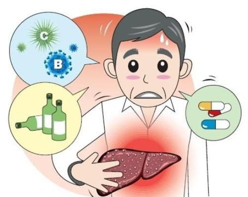 Hình ảnh minh họa người lớn tuổi và chức năng gan