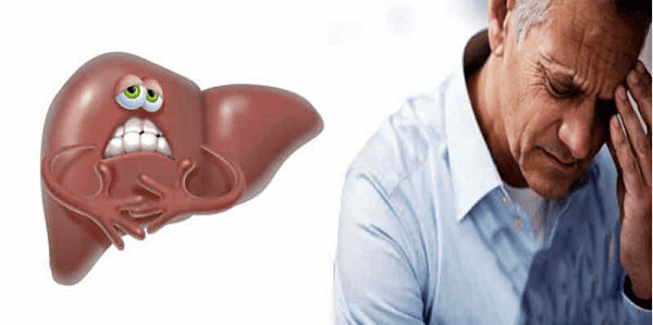 Yếu tố tác động lên lá gan người già