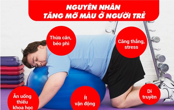 Nguyên nhân gây mỡ máu ở người trẻ tuổi