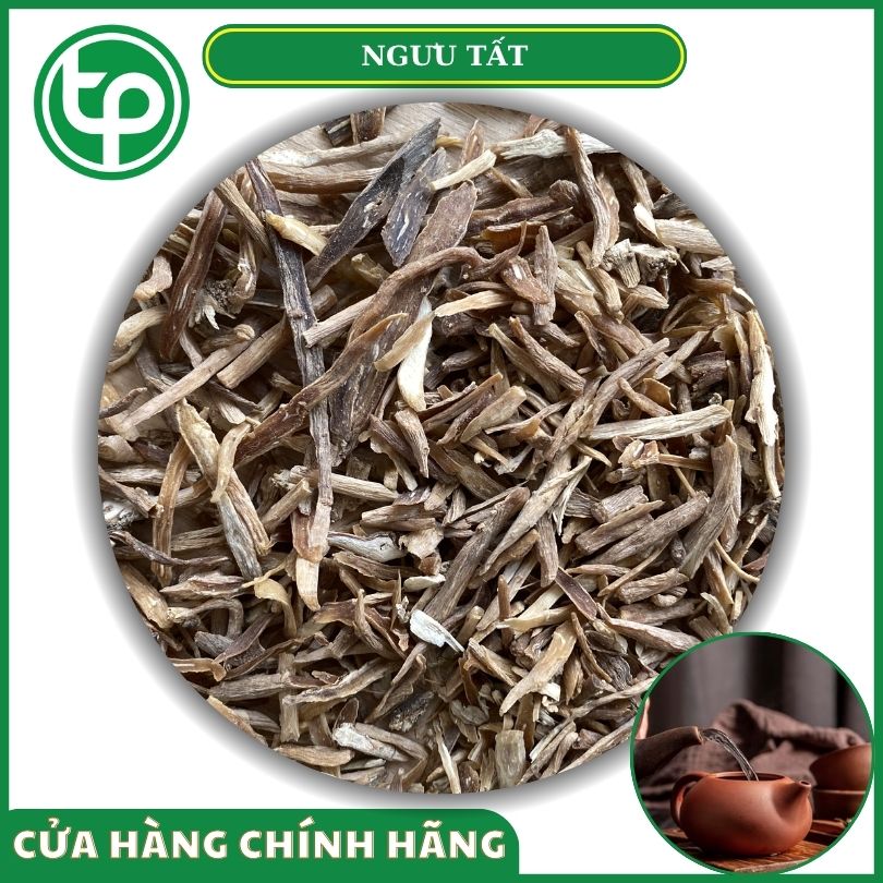 Ngưu tất khô tại Tấn Phát