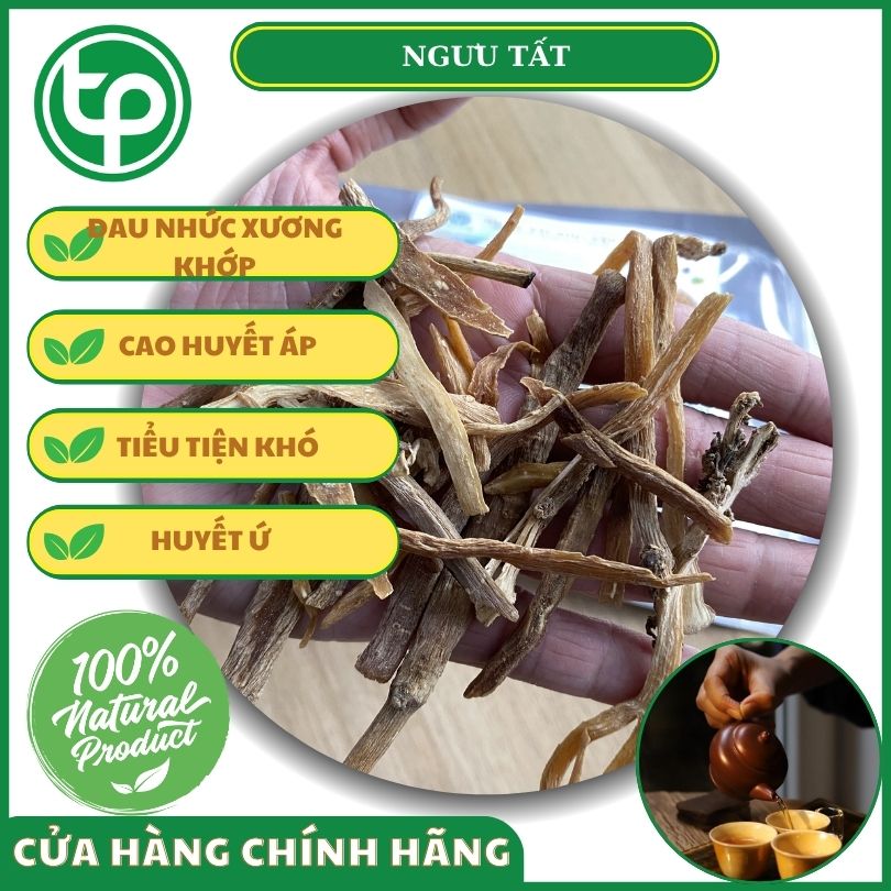 Công dụng của ngưu tất đối với sức khỏe