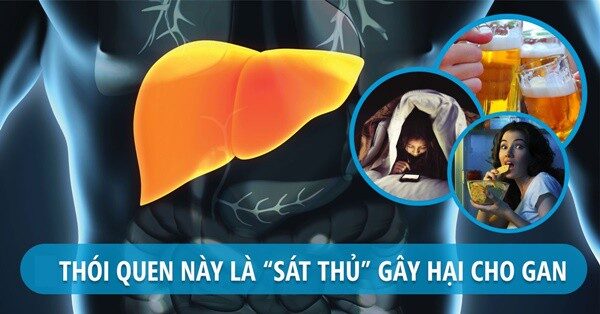 Giải pháp thảo dược hỗ trợ giải độc gan