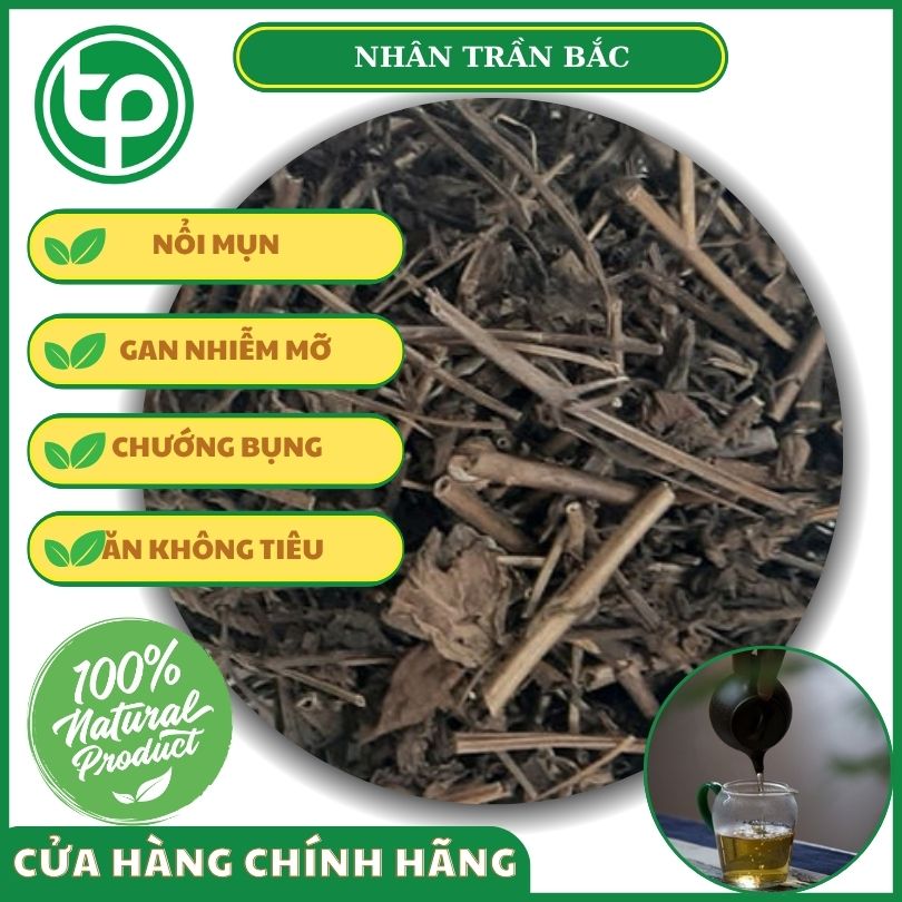 Đối tượng nên dùng nhân trần bắc