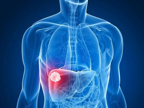 Thảo dược tự nhiên hỗ trợ gan nhưng cần khoa học và hợp lý