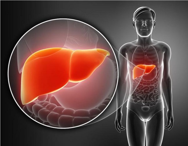 Nóng gan có tự hết được không