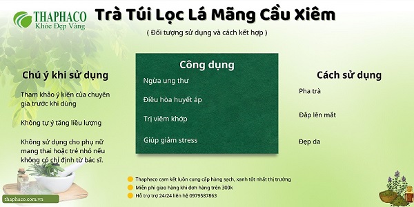 Thu hoạch lá mãng cầu tại vùng dược liệu của Tấn Phát HCM