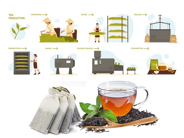 Cận cảnh lá mãng cầu được sơ chế, đảm bảo giữ trọn dược tính