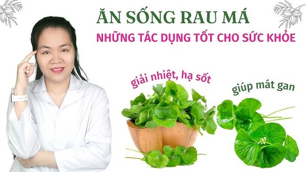Lưu ý khi dùng rau má giảm nóng gan