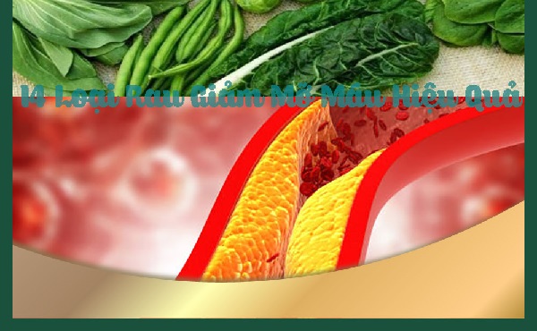 Rau xanh giúp kiểm soát bệnh mỡ trong máu