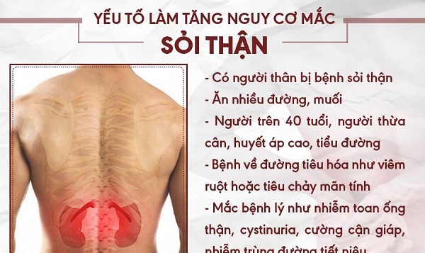 Triệu chứng và thực trạng bệnh sỏi thận phổ biến ở xã hội hiện nay
