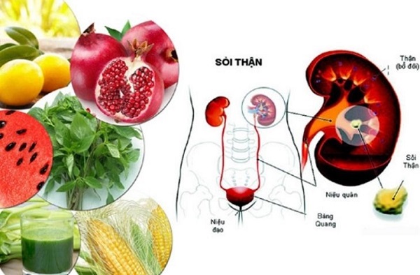 hình ảnh thực phẩm tốt cho người bị sỏi thận