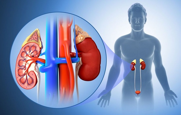 Giải pháp an toàn: phối hợp y học hiện đại và thảo dược