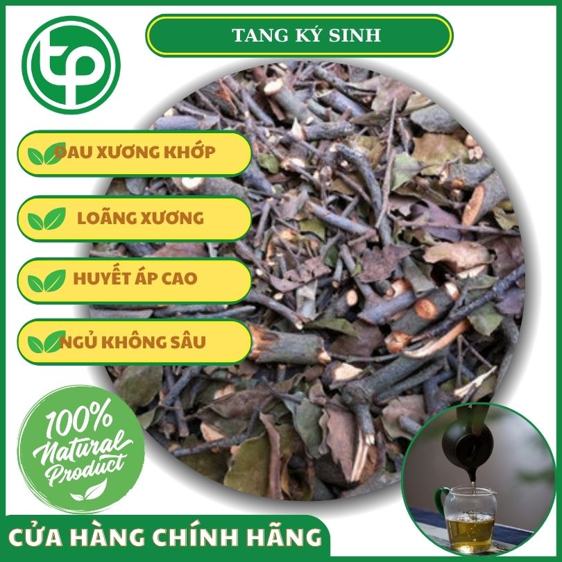Công dụng của tang ký sinh đối với sức khỏe