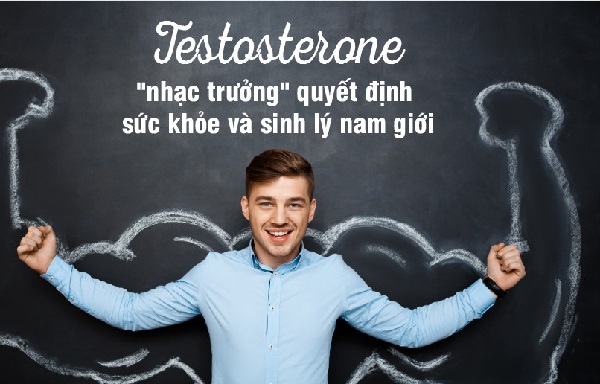 Tác động của testosterone tới sinh lý nam