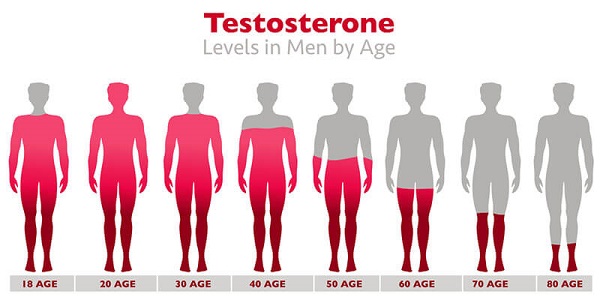 Testosterone giảm dần theo từng năm ở nam giới