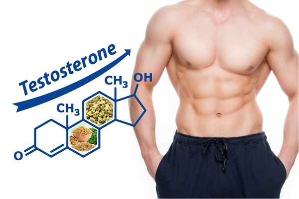 Thảo dược tăng cường testosterone cho sinh lý nam