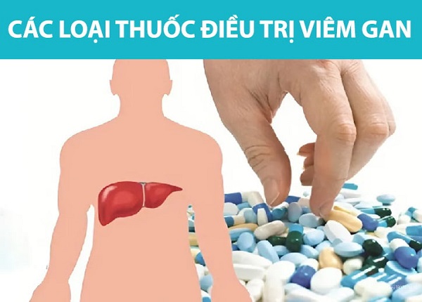 Thành phần thảo dược hỗ trợ điều trị viêm gan