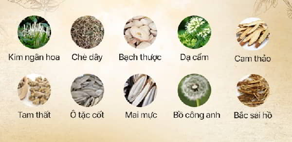 Thành phần tự nhiên trong cây thuốc nam tốt cho hệ tiêu hóa