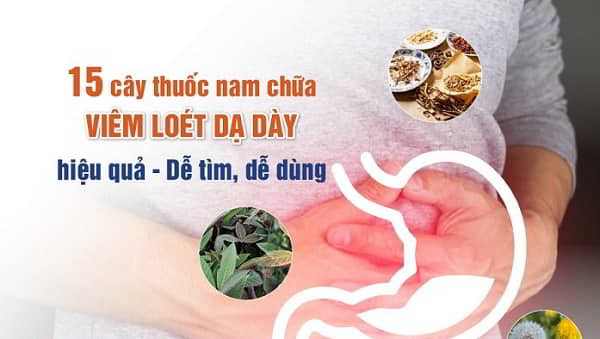 Cảnh báo rủi ro khi dùng thuốc nam không đúng cách