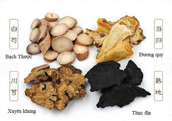 Các loại thuốc nam giải độc gan hiệu quả
