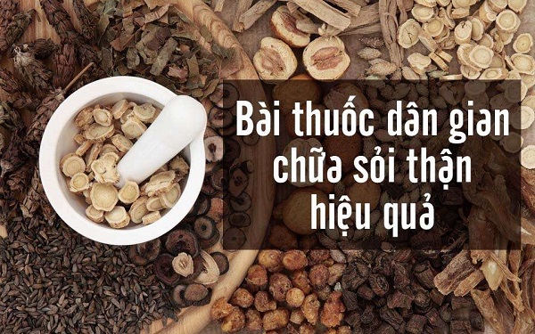 Thuốc nam trị sỏi thận - thảo dược tự nhiên an toàn