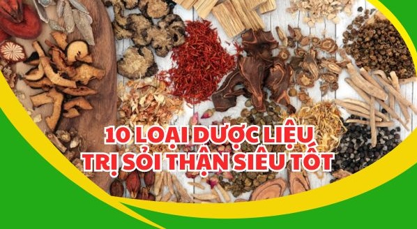 Cơ sở khoa học của thuốc nam trị sỏi thận
