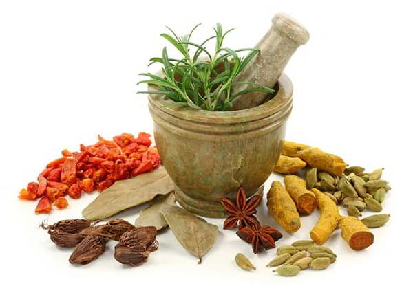 Dược liệu tự nhiên trong điều trị tiêu hóa kém