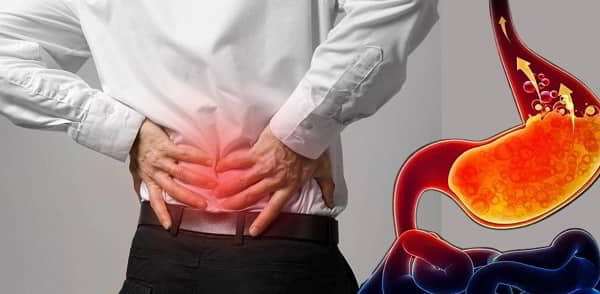 Lợi ích và bằng chứng của thảo dược cho hệ tiêu hóa