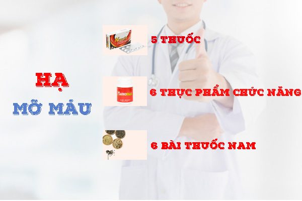 Lá sen - hỗ trợ giảm mỡ máu tự nhiên
