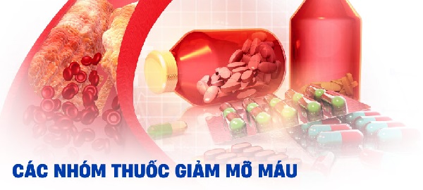 Các loại thảo dược giảm mỡ máu