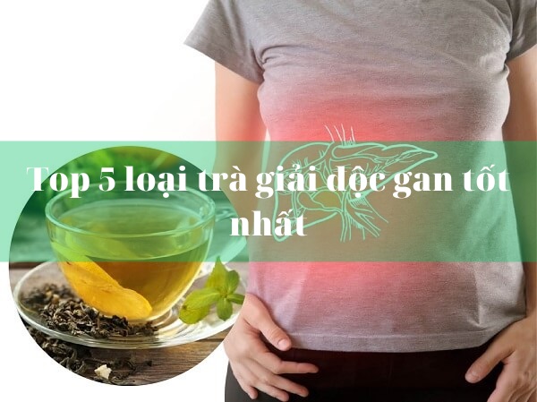 Các loại trà giúp thải độc gan hiệu quả