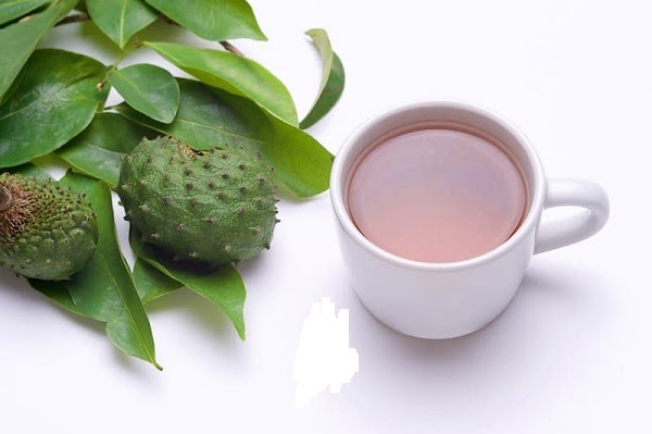 Thành phần tự nhiên trong trà mãng cầu hỗ trợ giải độc gan