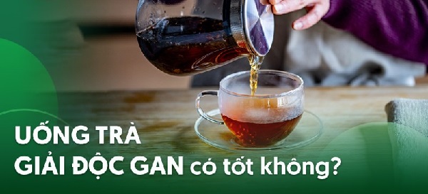 Trà thảo dược mát gan ngày càng phổ biến nhờ niềm tin truyền thống và sự tiện lợi